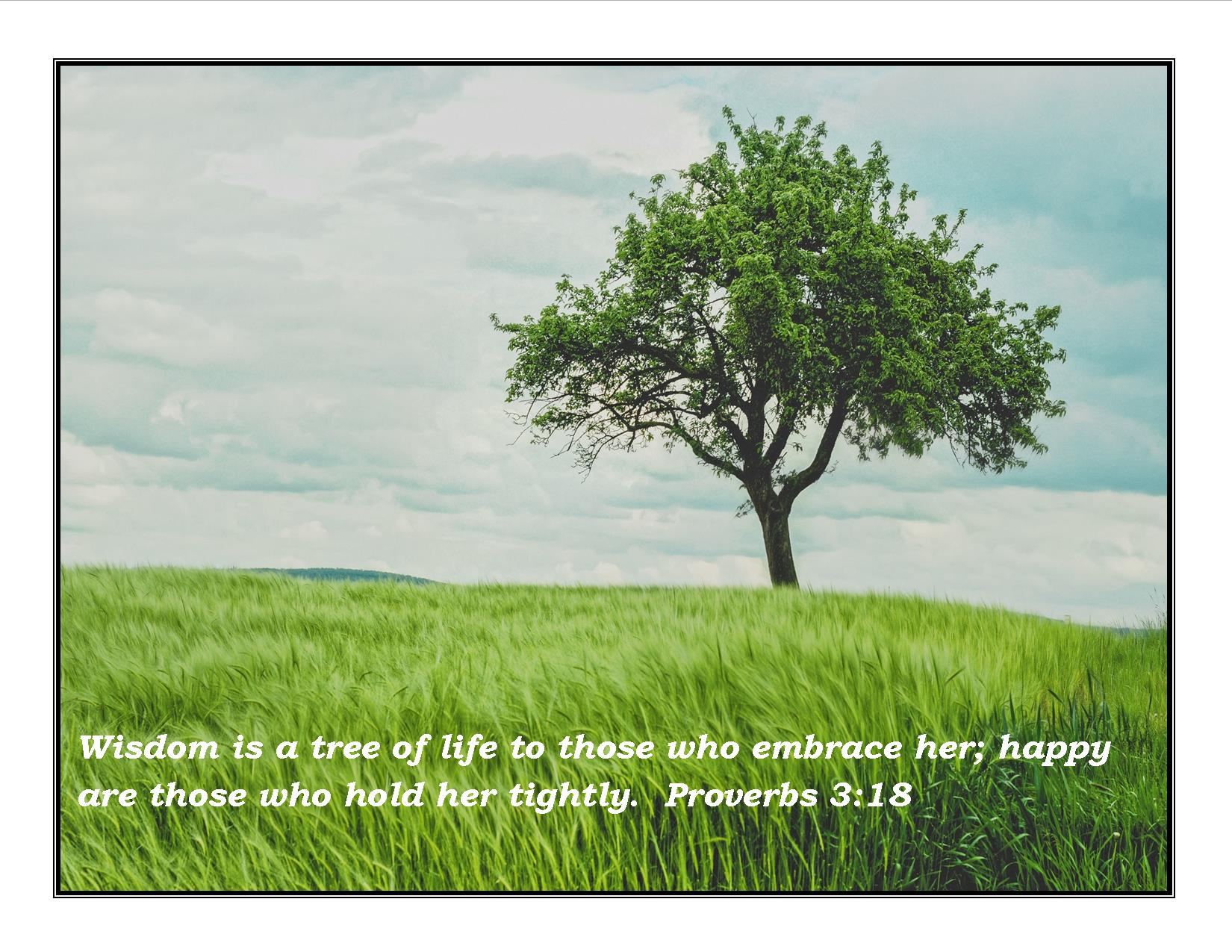 26 Beautiful Quote Life Tree